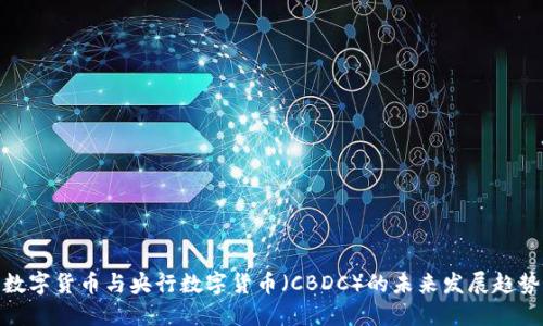 数字货币与央行数字货币（CBDC）的未来发展趋势