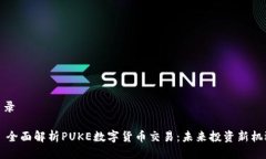 目录- 全面解析PUKE数字货
