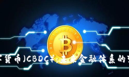 : 央行数字货币（CBDC）：未来金融体系的变革与挑战