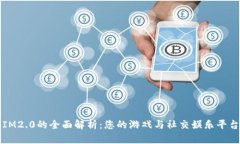 IM2.0的全面解析：您的游戏