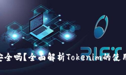 Tokenim安全吗？全面解析Tokenim的使用与安全性