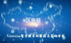 Tokenim暂停提币的原因与影