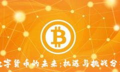  数字货币的未来：机遇与挑战分析