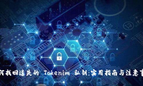 如何找回遗失的 Tokenim 私钥：实用指南与注意事项