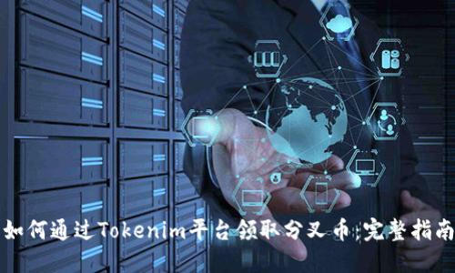 如何通过Tokenim平台领取分叉币：完整指南