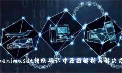 Tokenimusdt转账确认中原因解