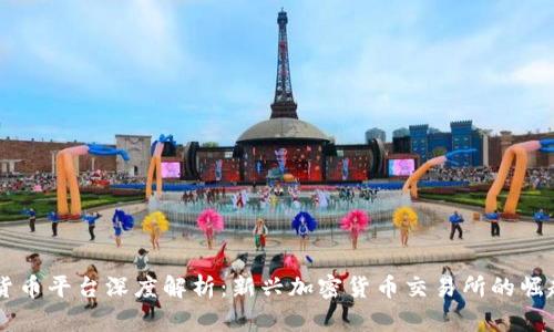 OE数字货币平台深度解析：新兴加密货币交易所的崛起与发展