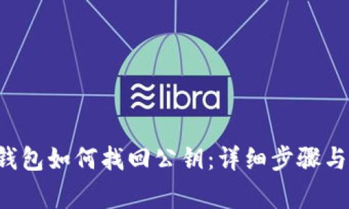 : im2.0钱包如何找回公钥：详细步骤与注意事项
